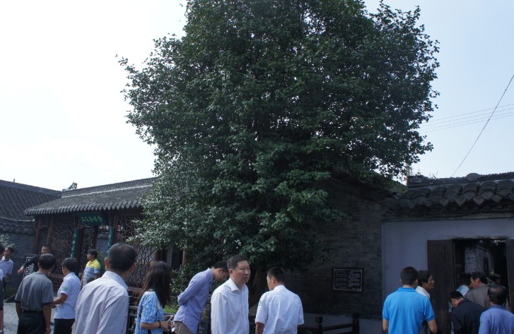 兆勝建材舉辦全廠(chǎng)工人十一溱潼一日游 贏(yíng)勝文化