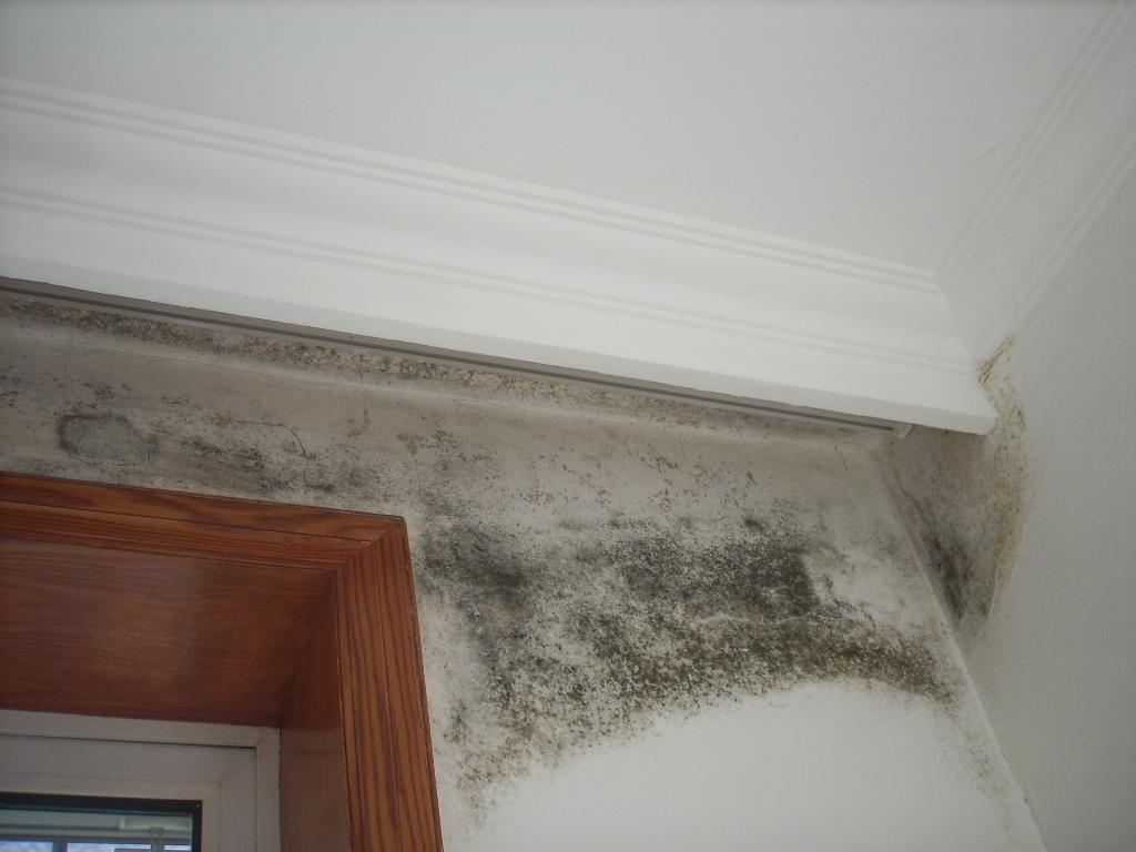 贏勝節(jié)能 橡塑保溫材料 class0 class1 復(fù)合橡塑保溫材料 橡塑保溫管 橡塑保溫板 外墻保溫 殼寶U-PVC管道外護(hù) 玻璃棉 愛耳聲學(xué) 隔聲降噪材料