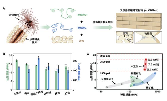 QQ截圖20231012110719.jpg QQ截圖20231012110719.jpg