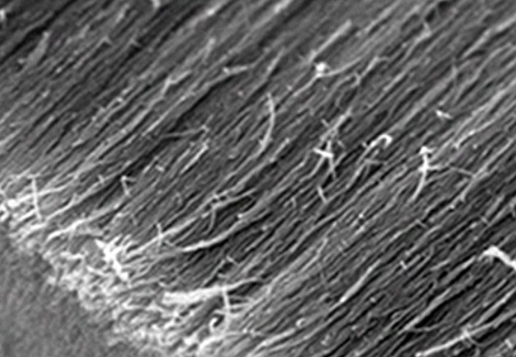 微信圖片_20231220161013.png 微信圖片_20231220161013.png