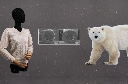 微信圖片_20231227091032.jpg 微信圖片_20231227091032.jpg